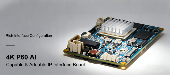 4KP60 AI Capable & Addable IP Interface Board