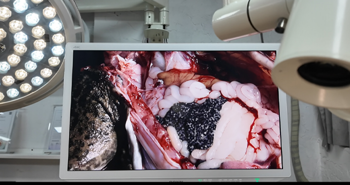 Sony FCB-EV9520L True Color Reproduction